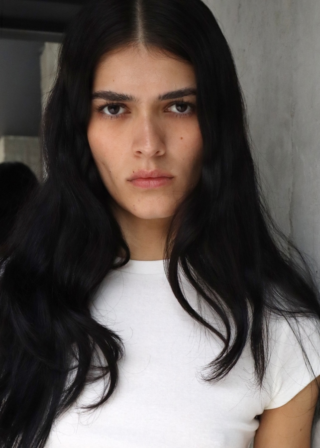 Model Image