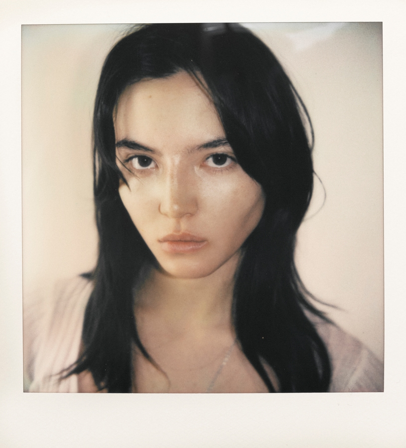 Model Image