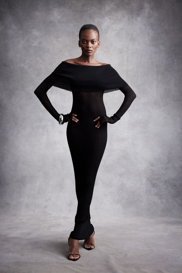 Model Image