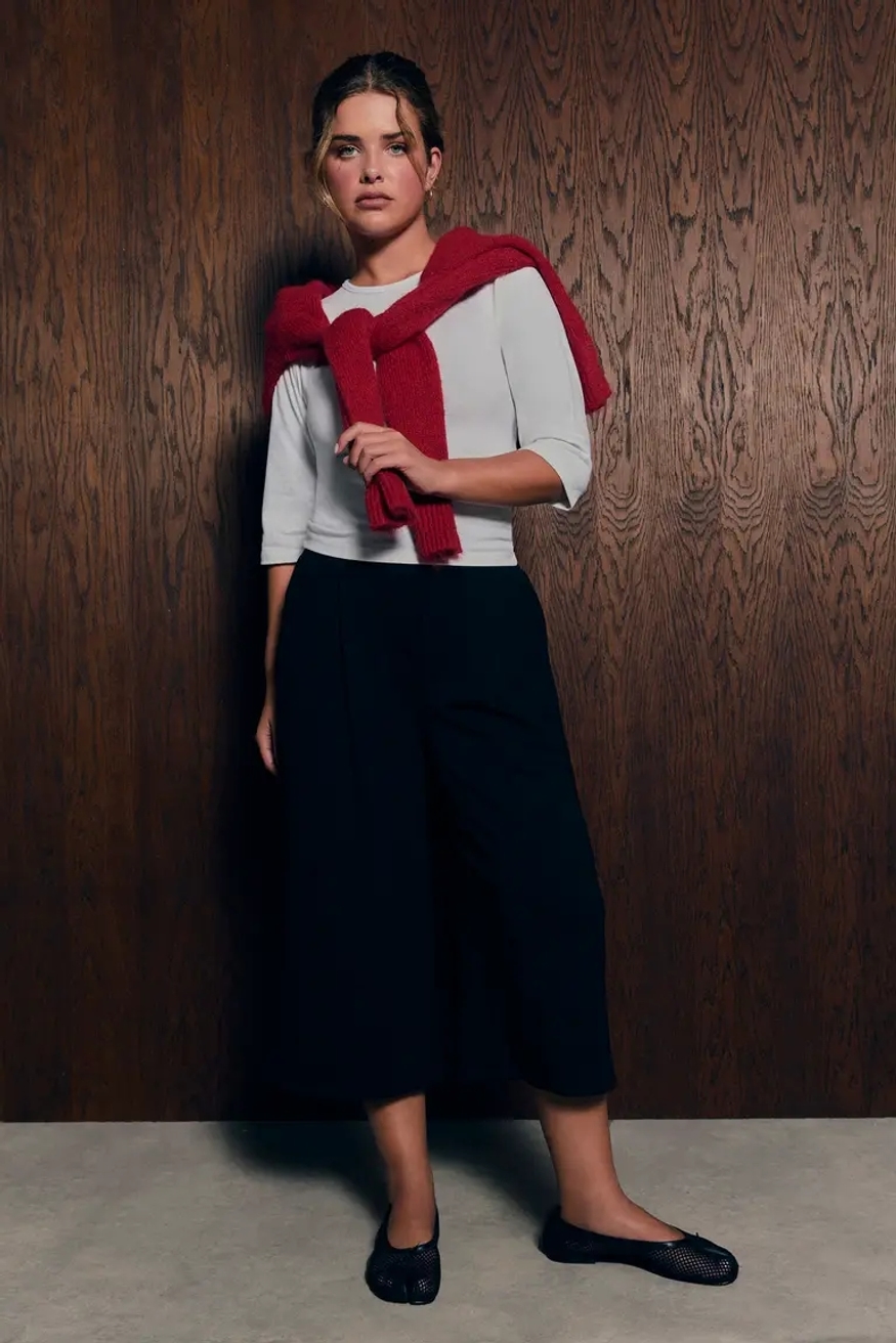 Model Image