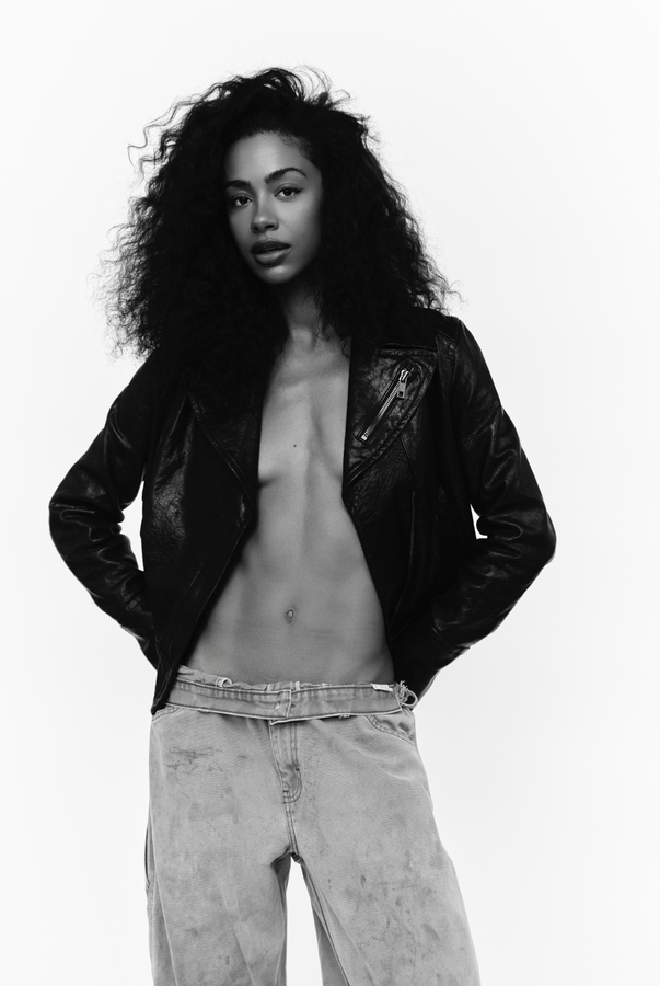 Model Image