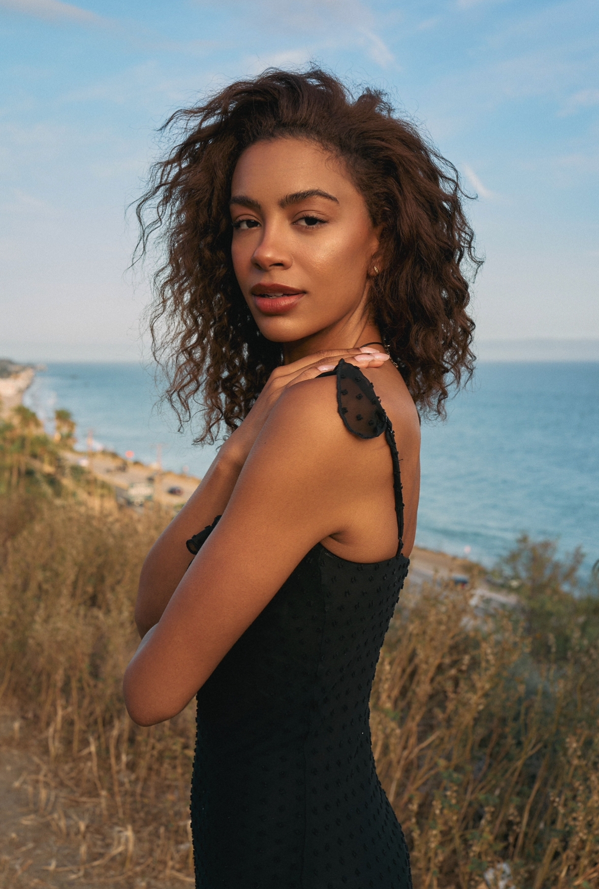 Model Image