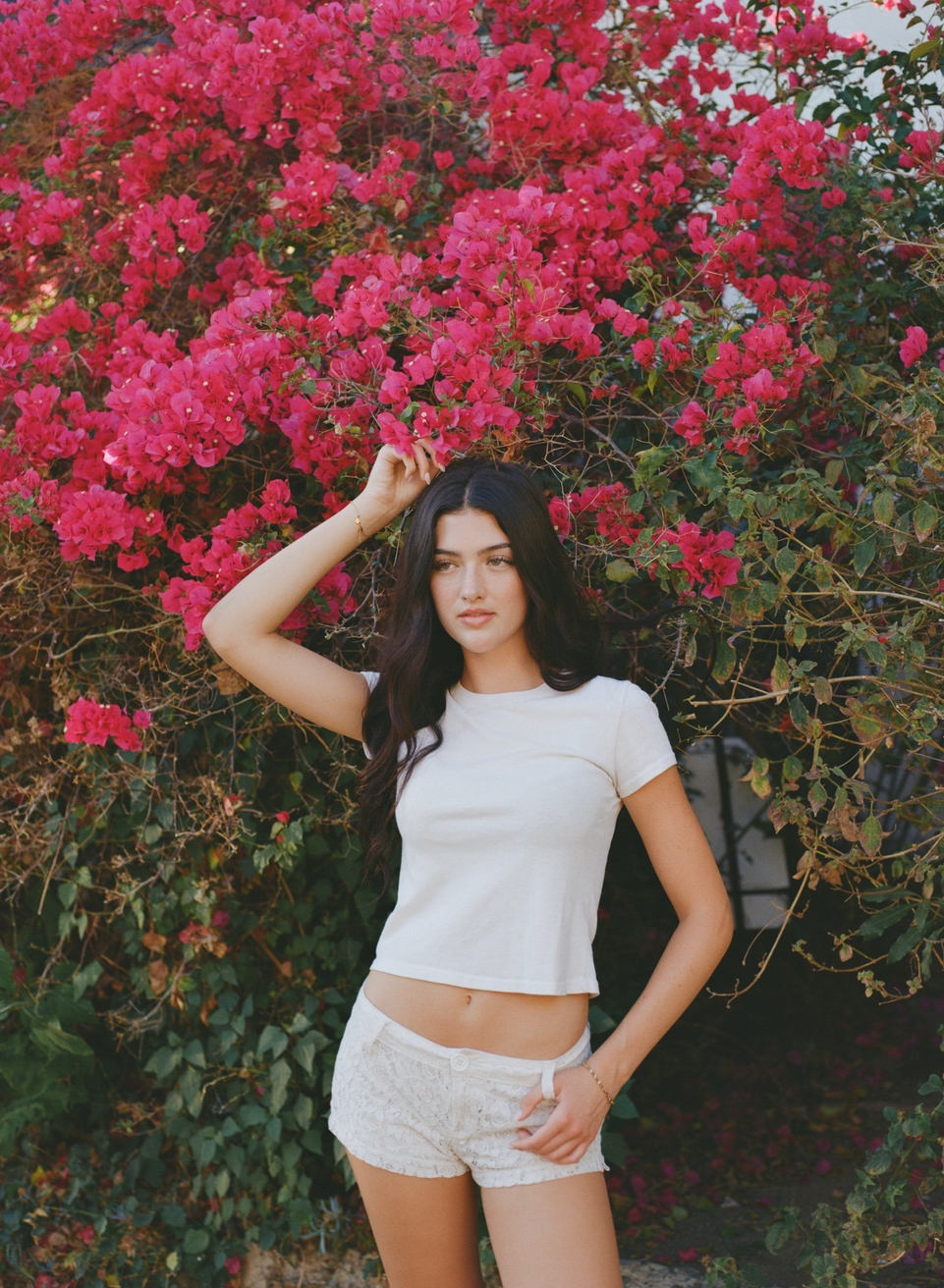 Model Image