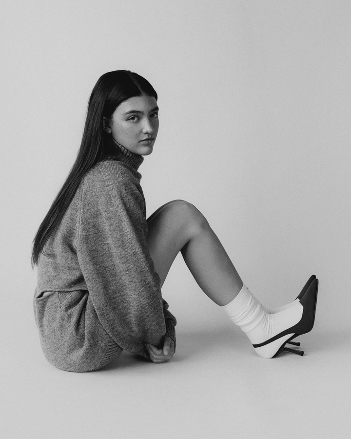 Model Image