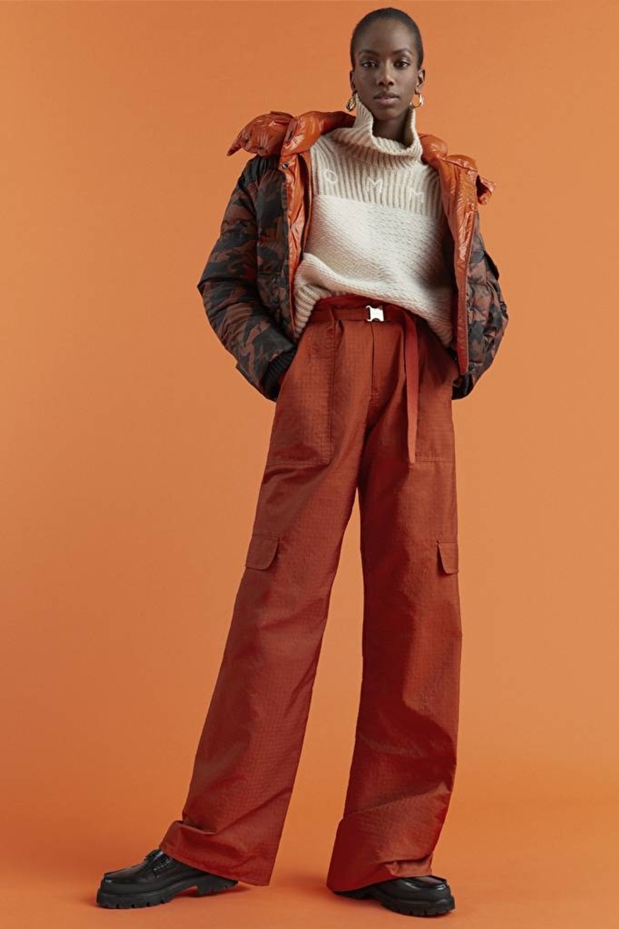 Model Image