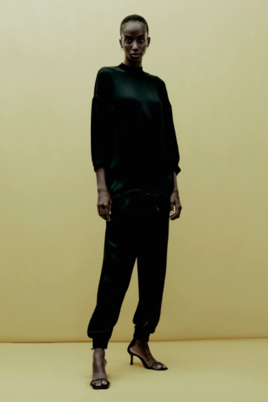 Model Image