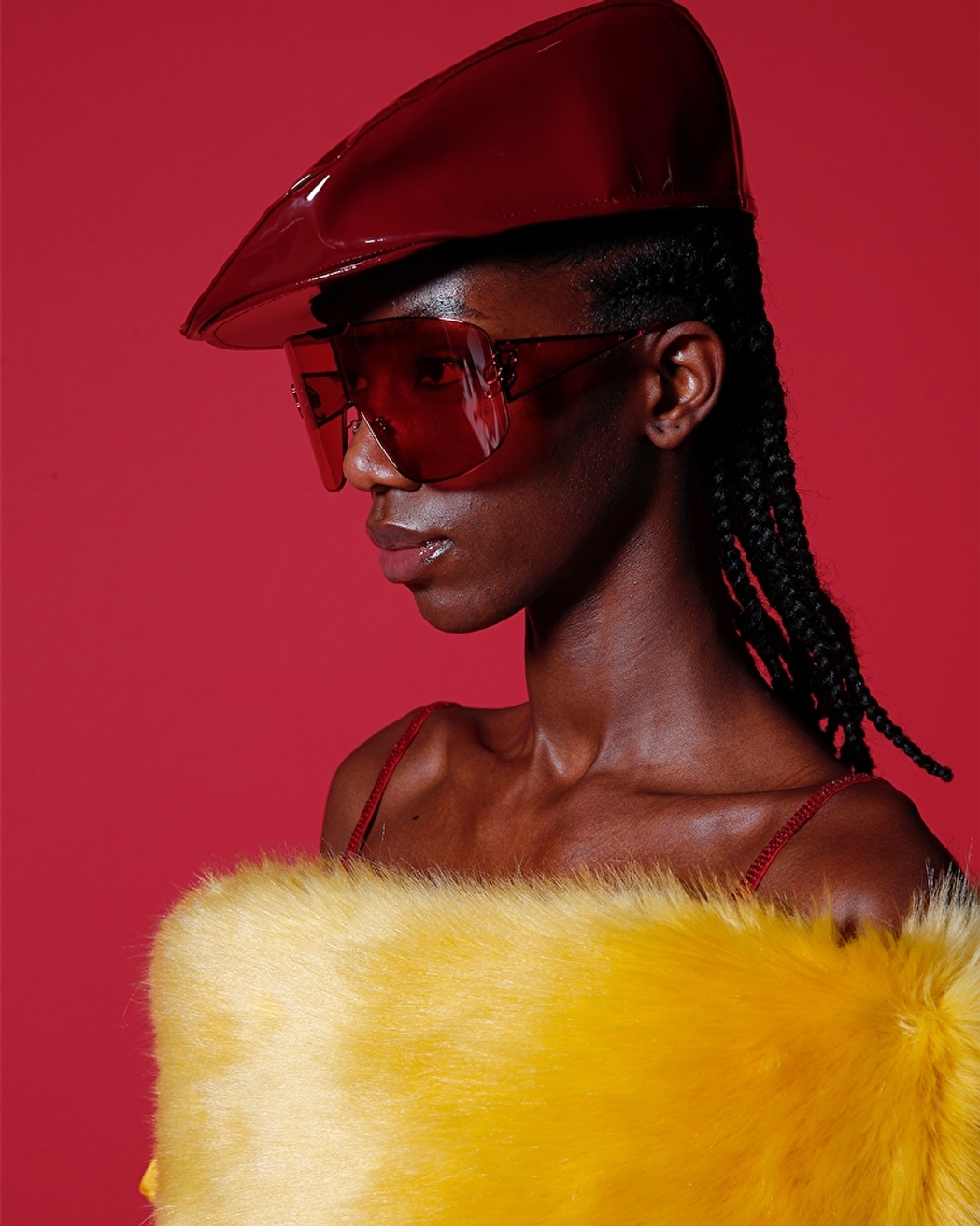 Model Image
