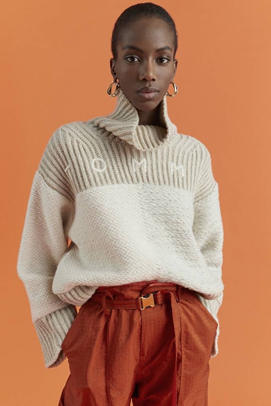 Model Image