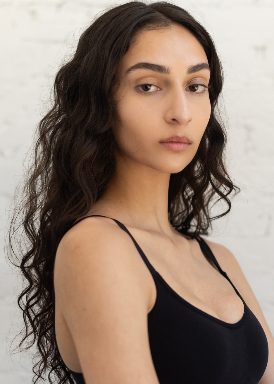 Model Image