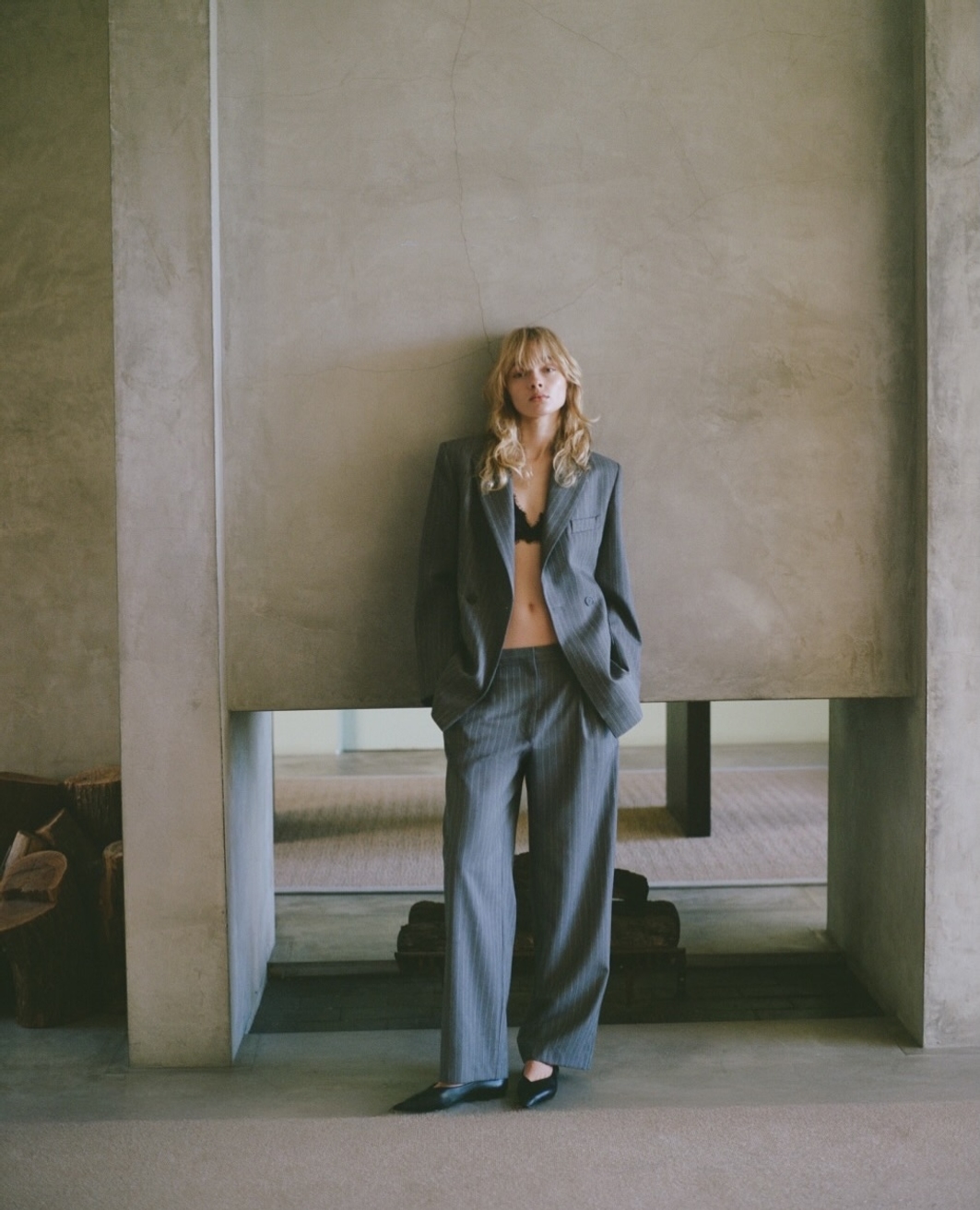 Model Image