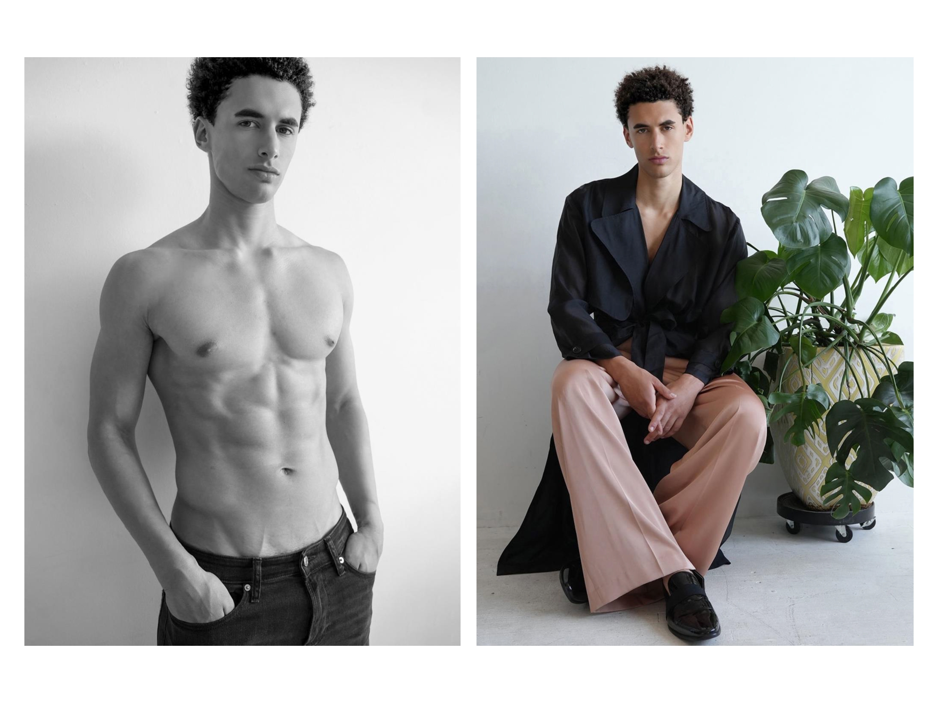 Model Image