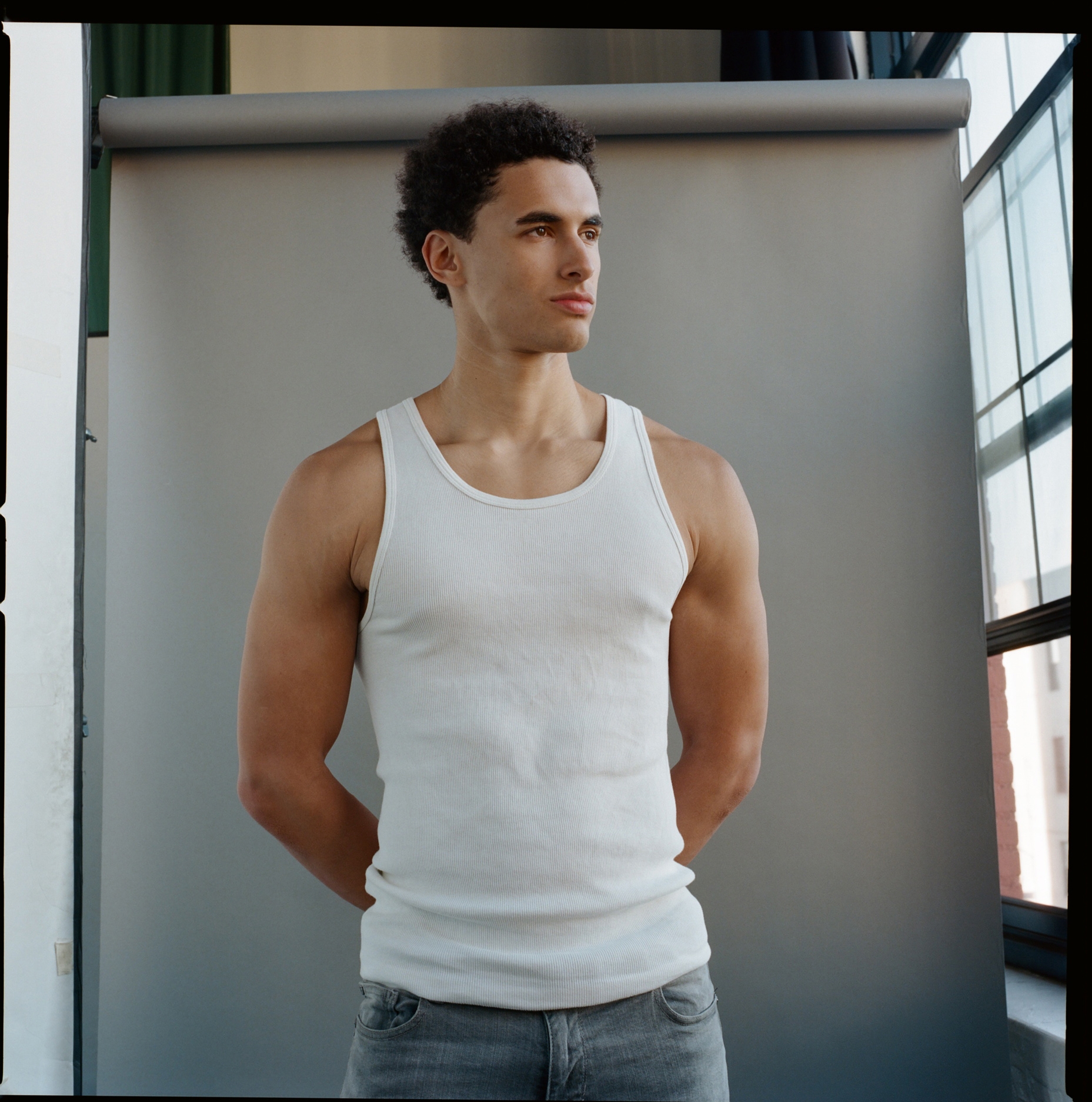 Model Image
