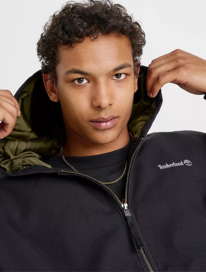 Model Image
