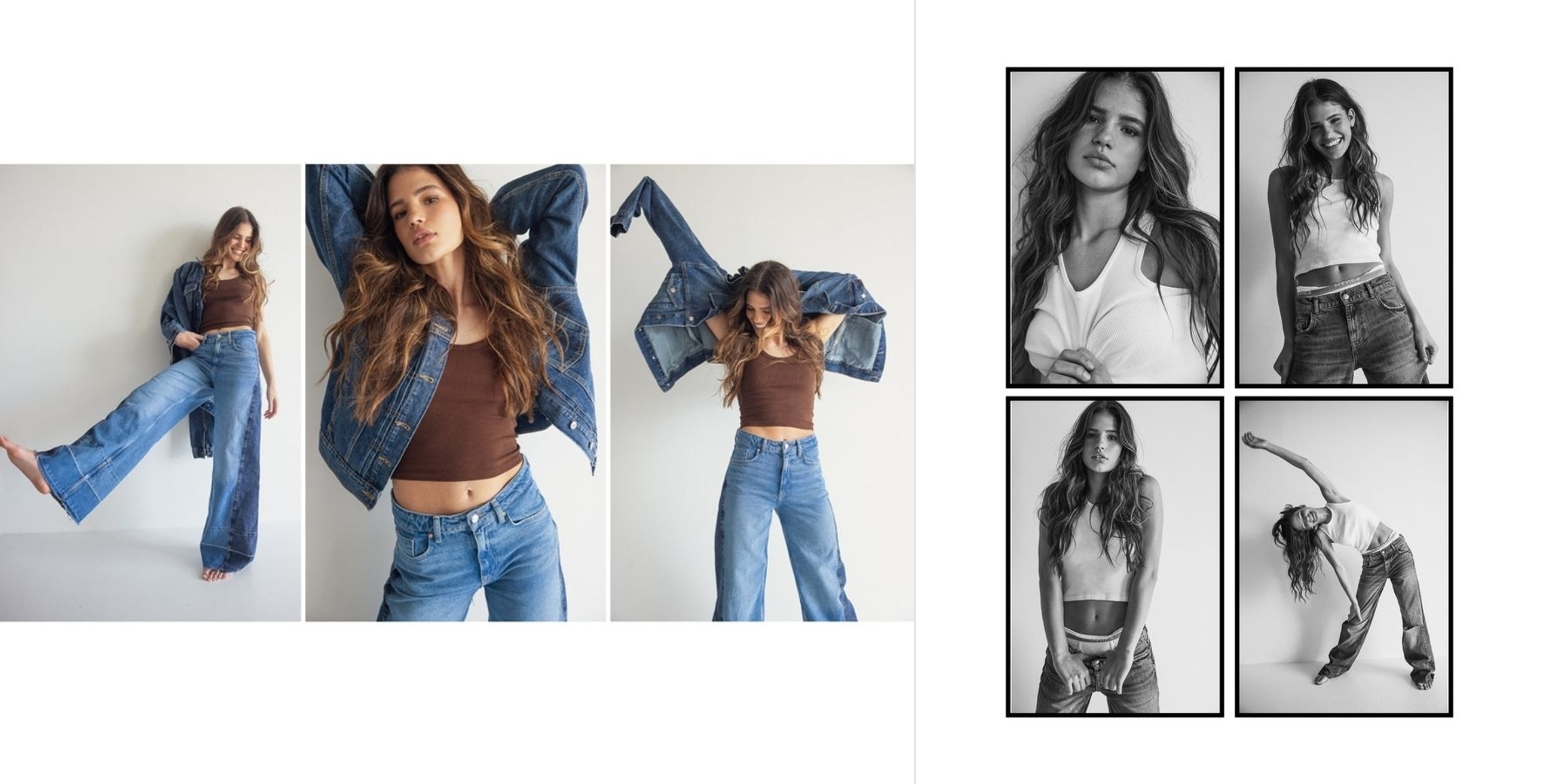 Model Image