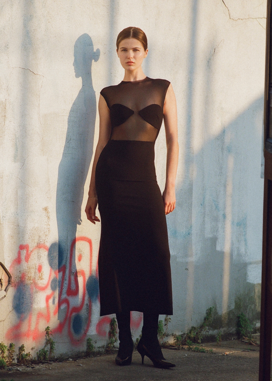 Model Image