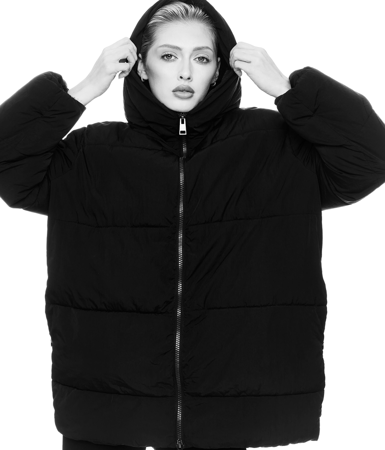 Model Image