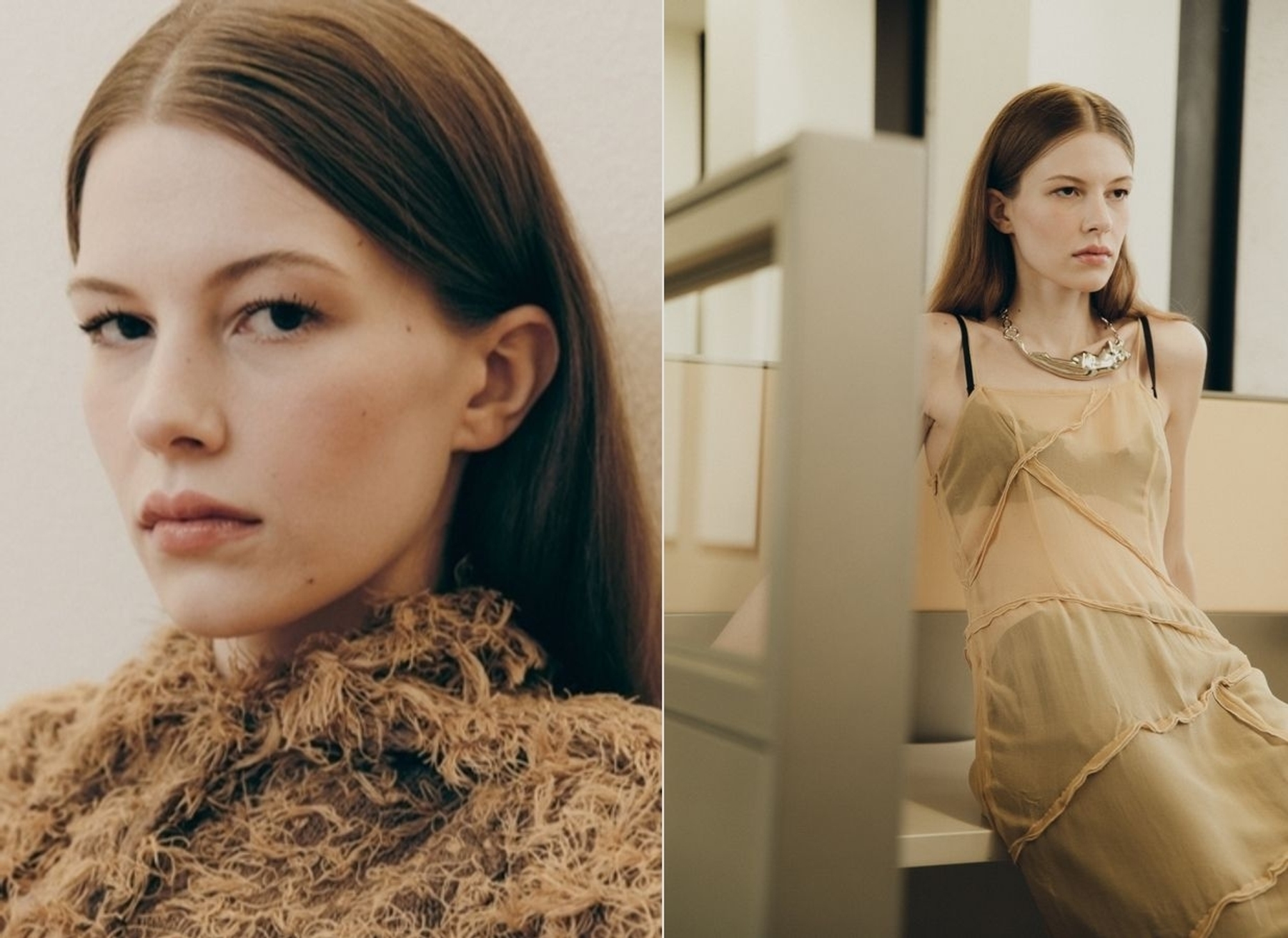 Model Image