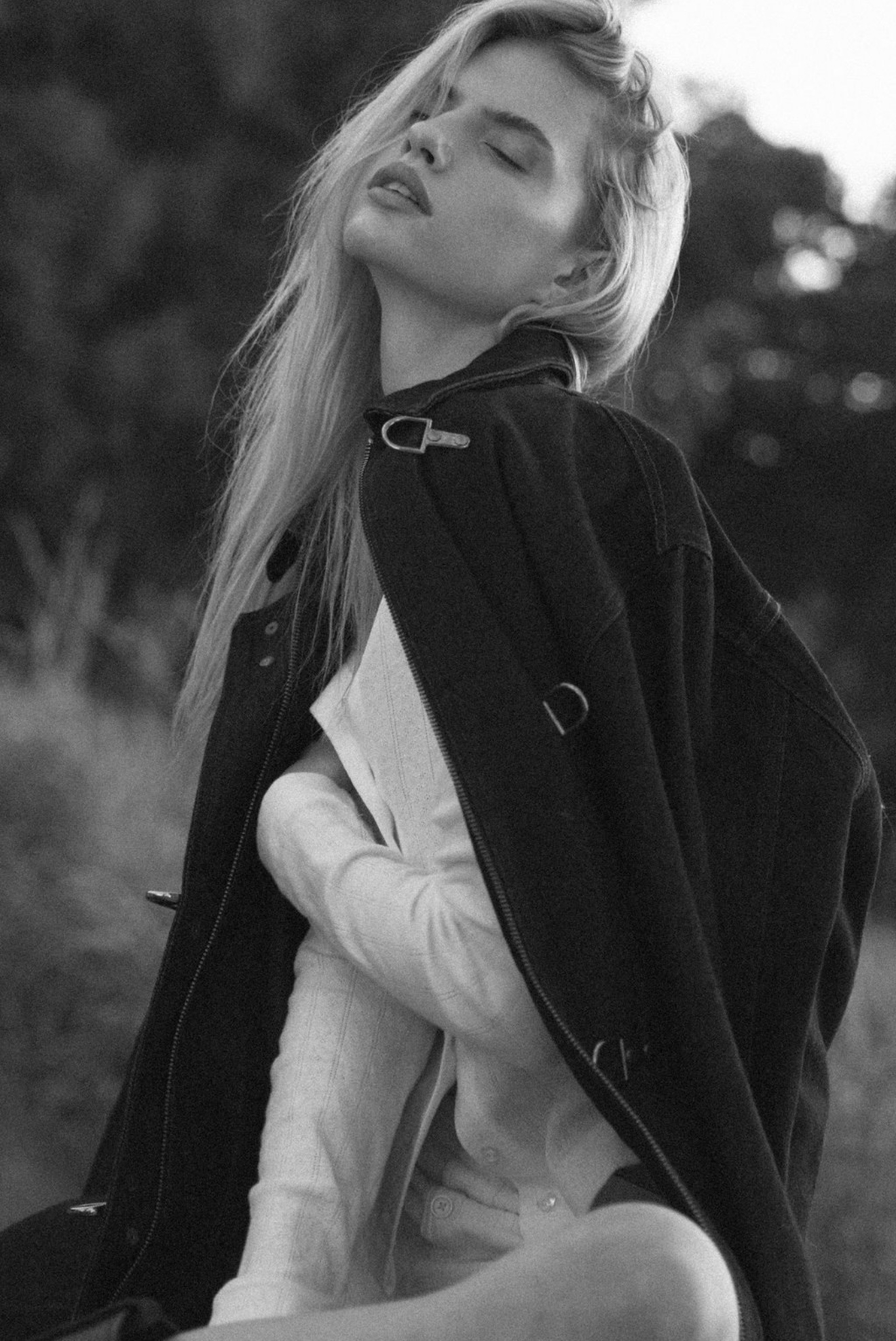 Model Image