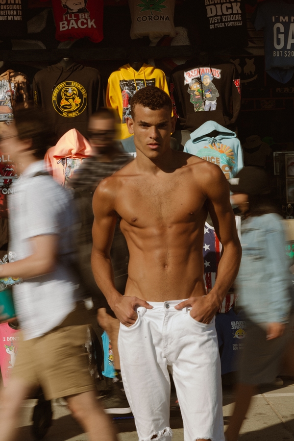 Model Image