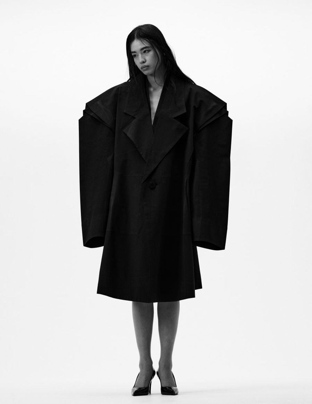 Model Image