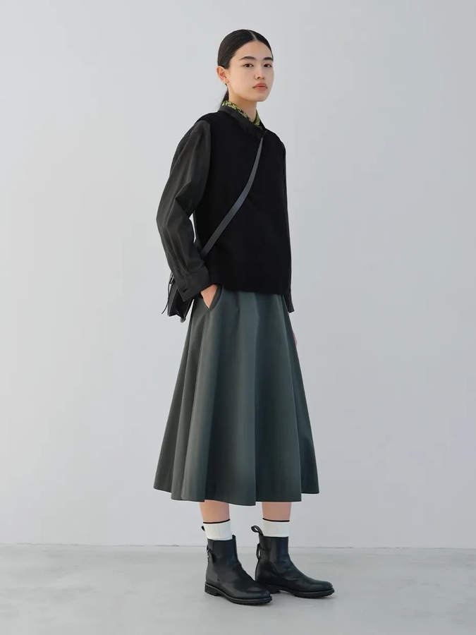 Model Image