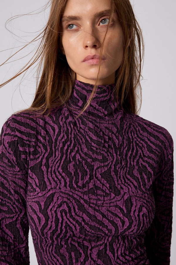 Model Image