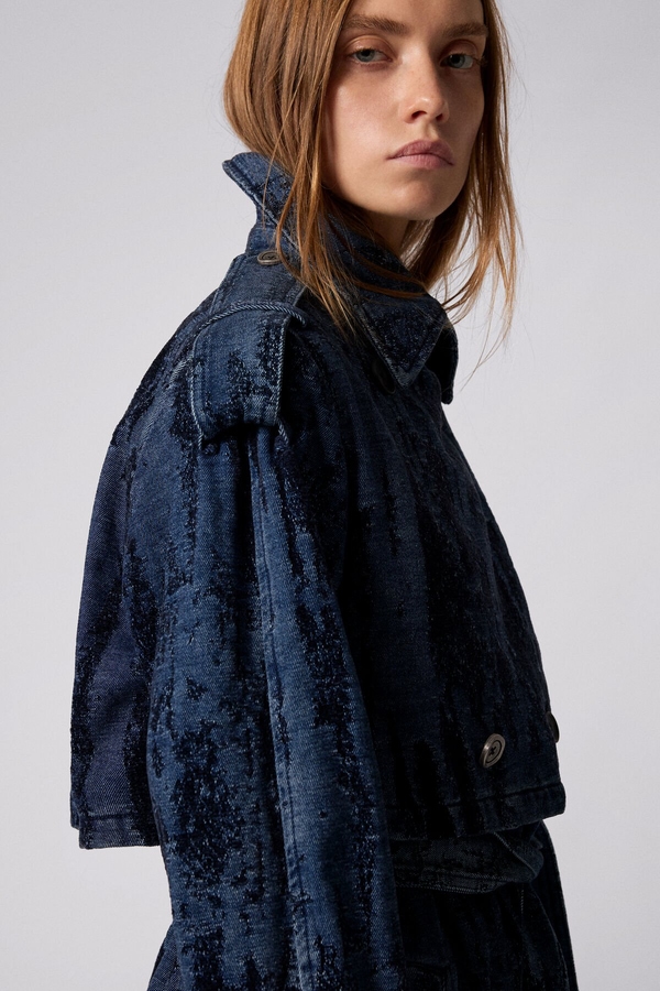 Model Image