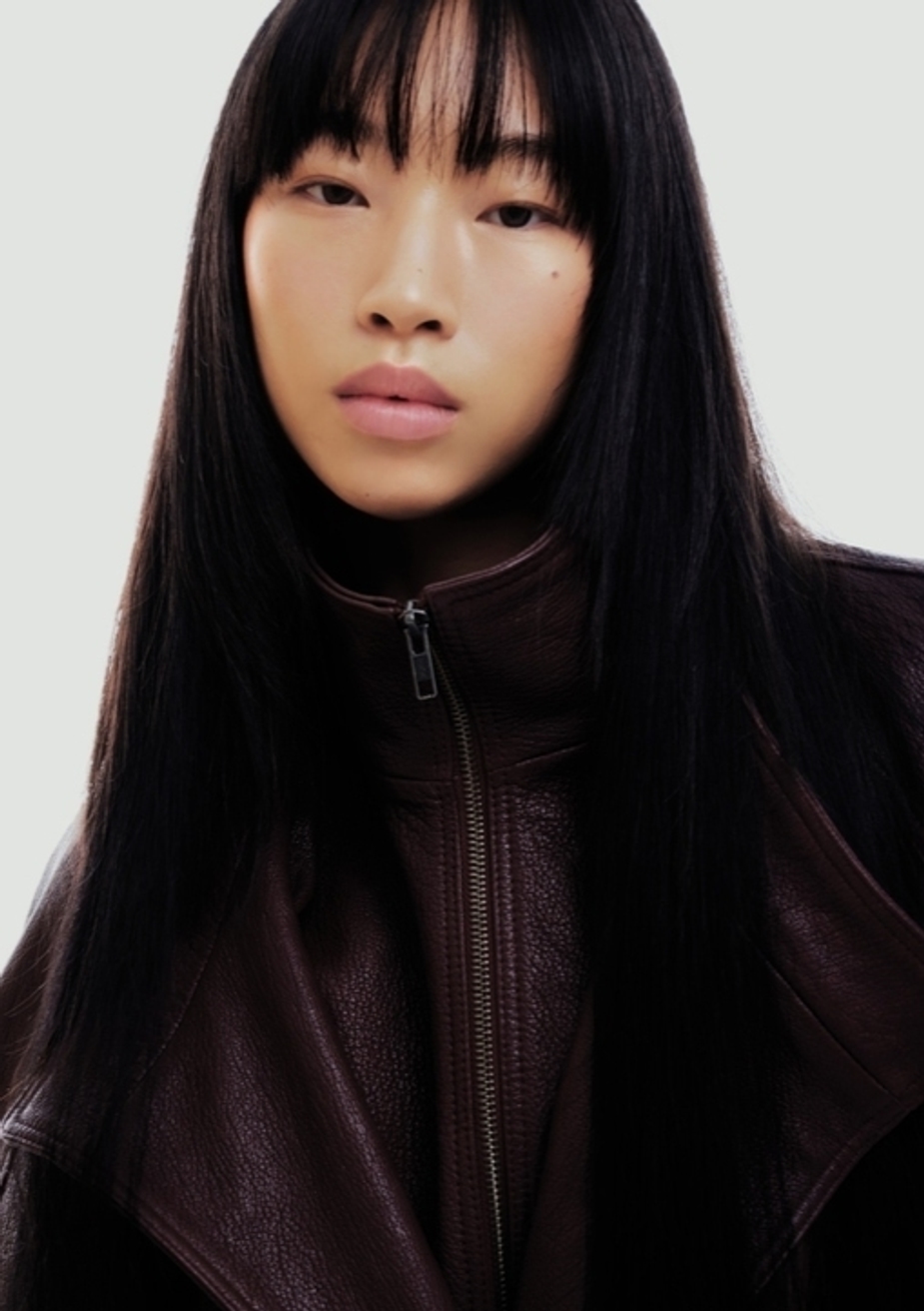 Model Image