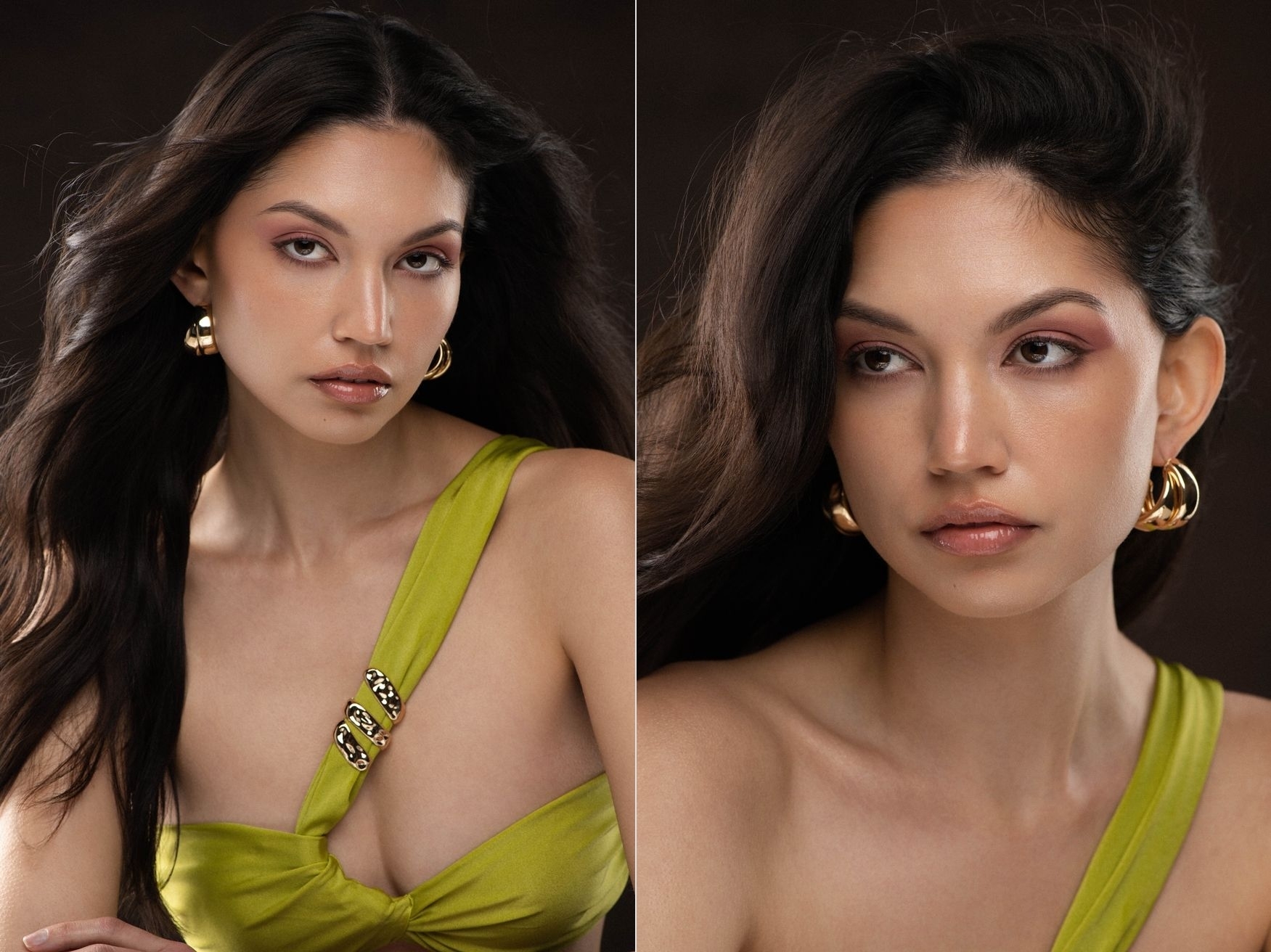 Model Image