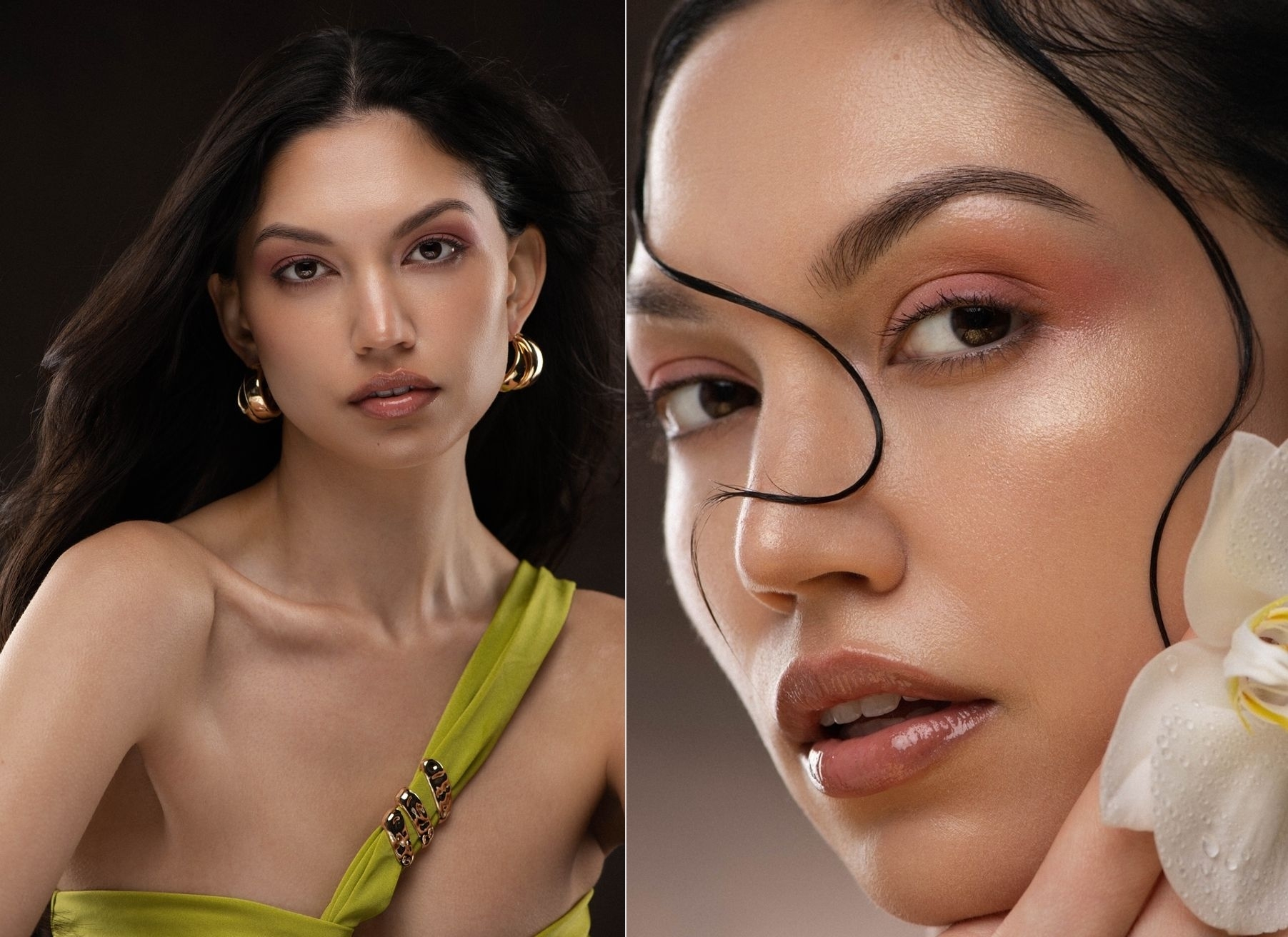 Model Image