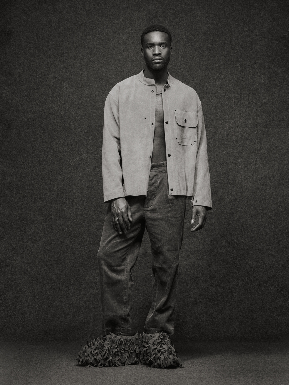 Model Image