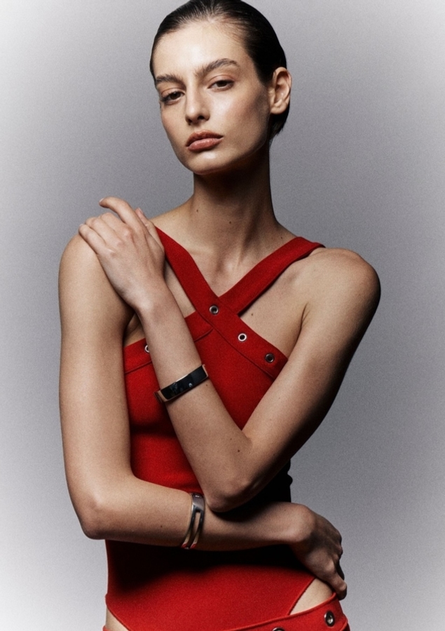 Model Image