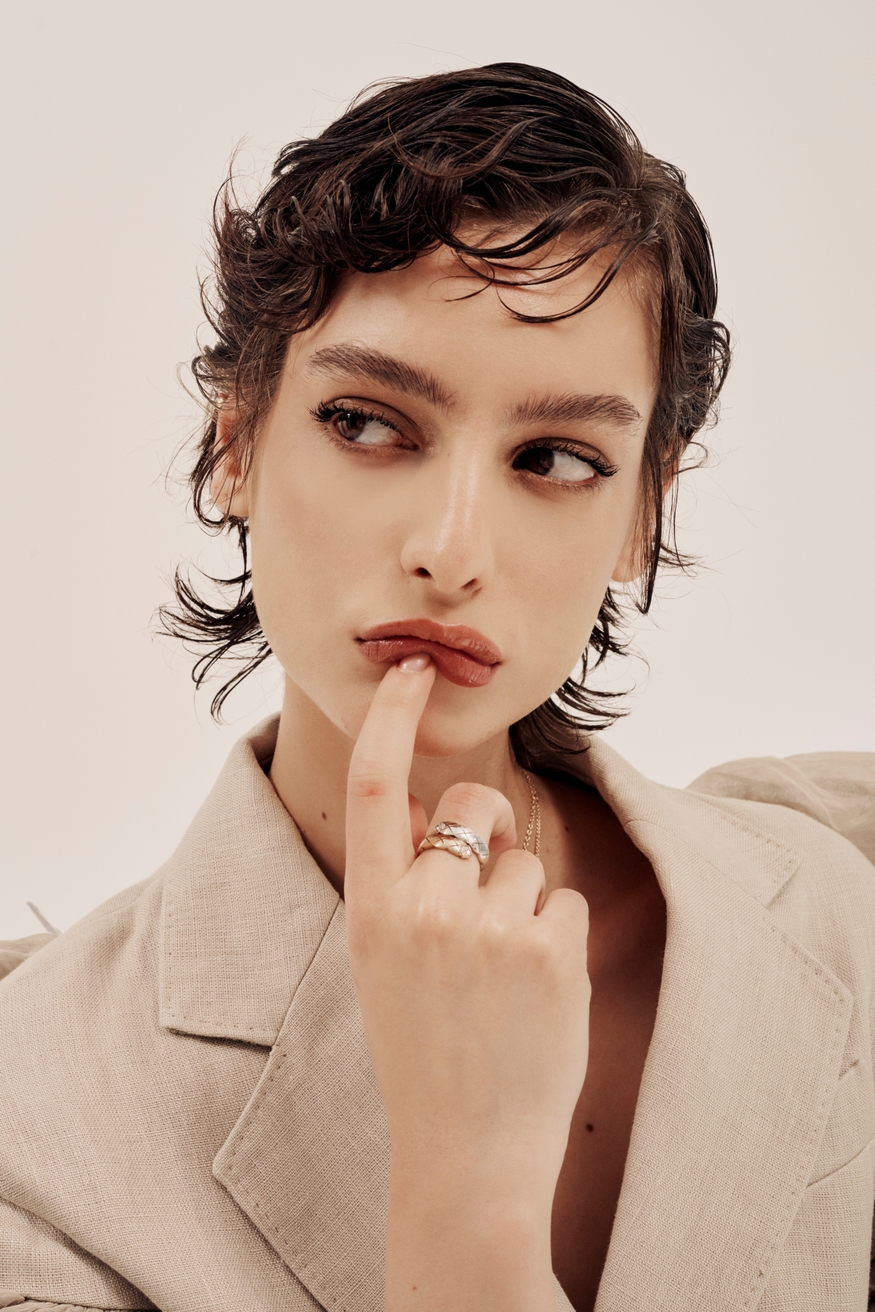 Model Image