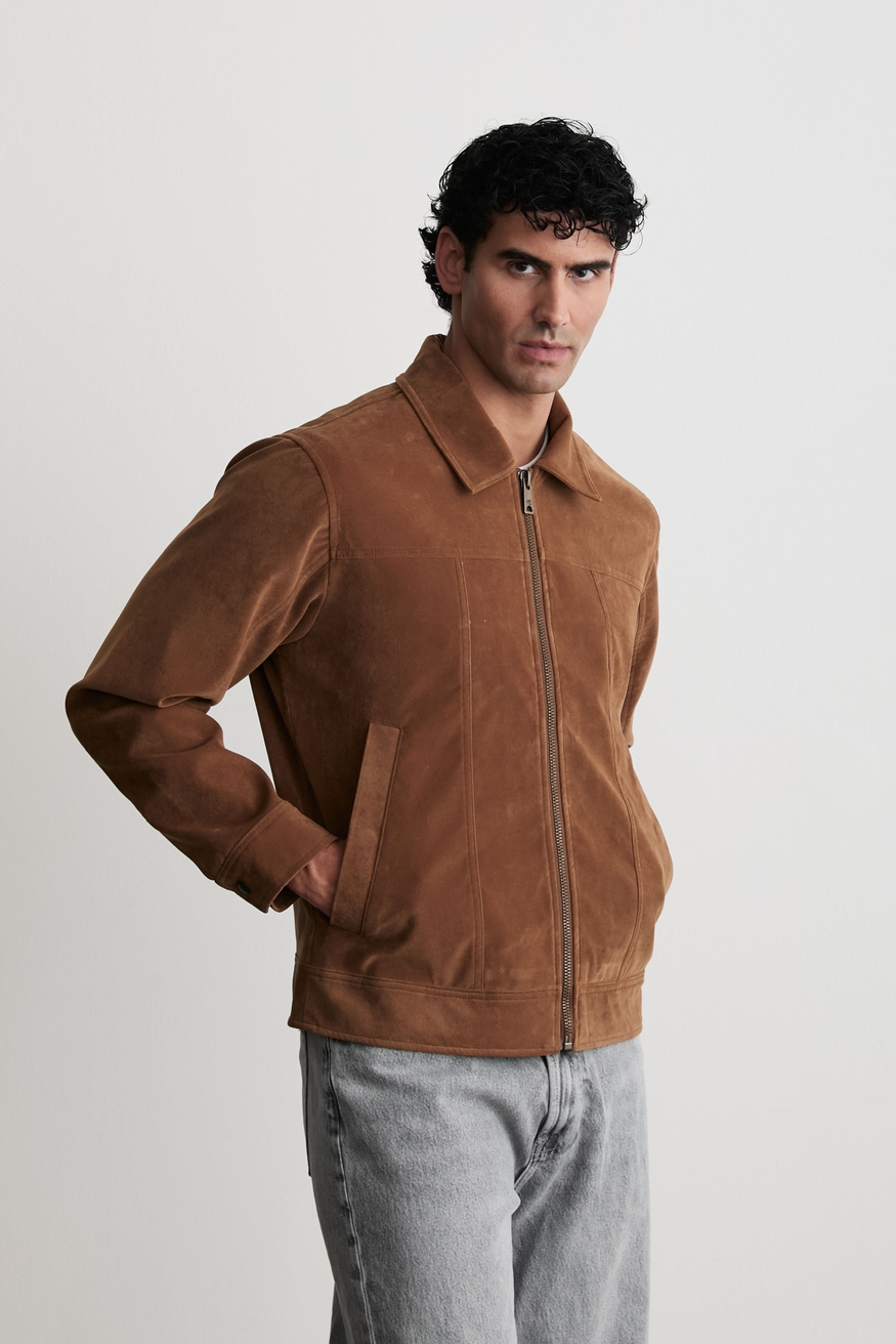 Model Image