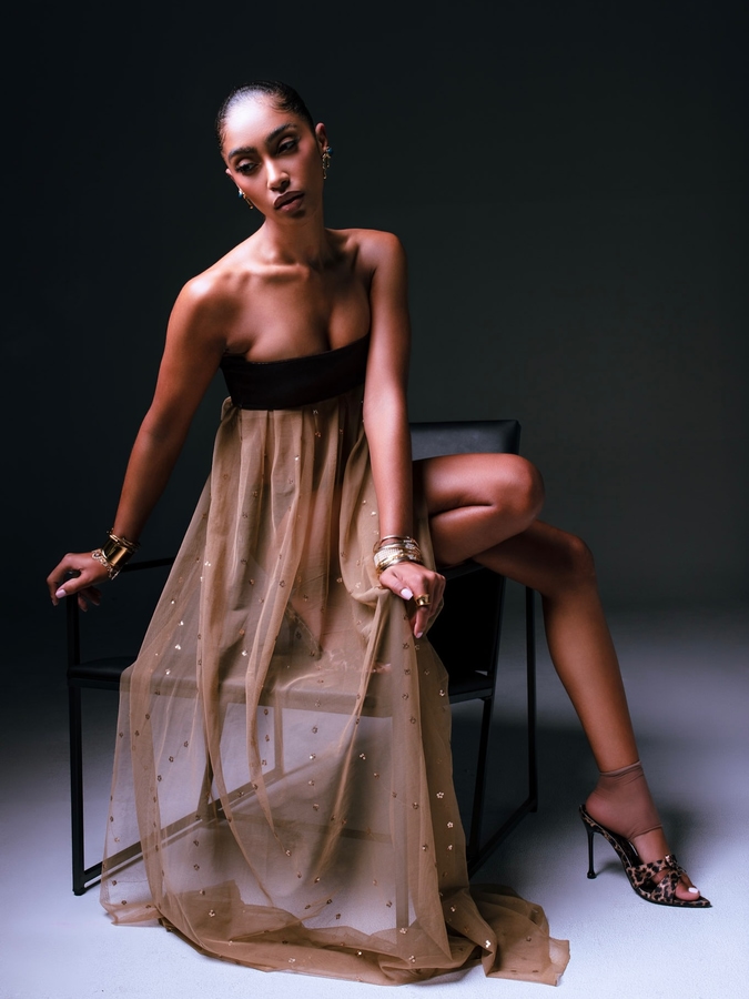 Model Image