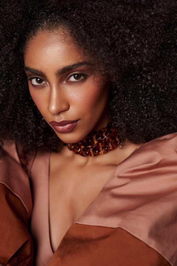 Model Image