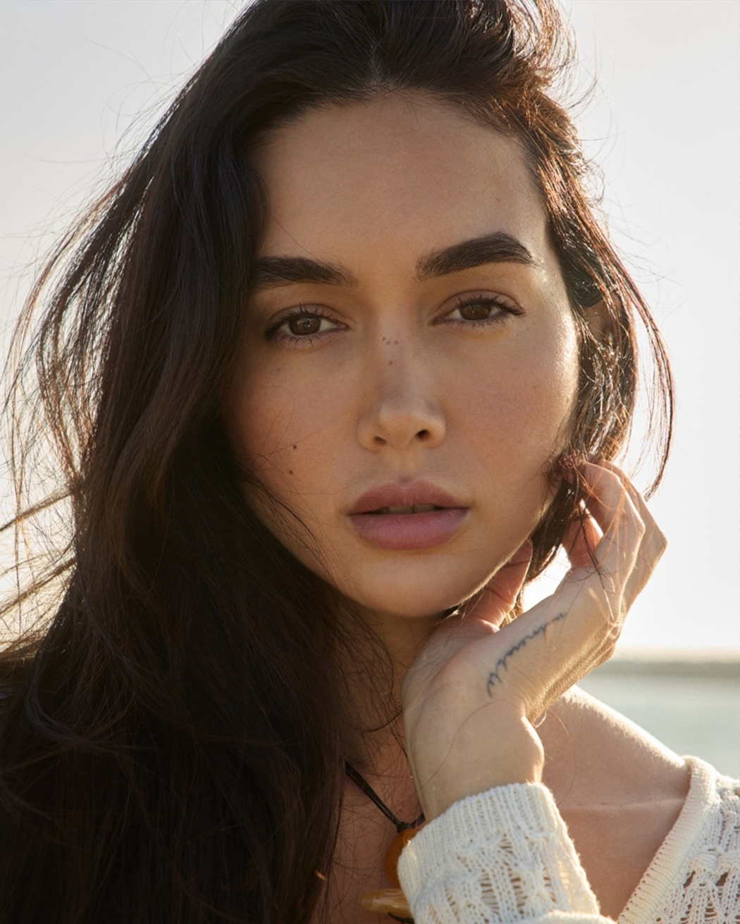 Model Image