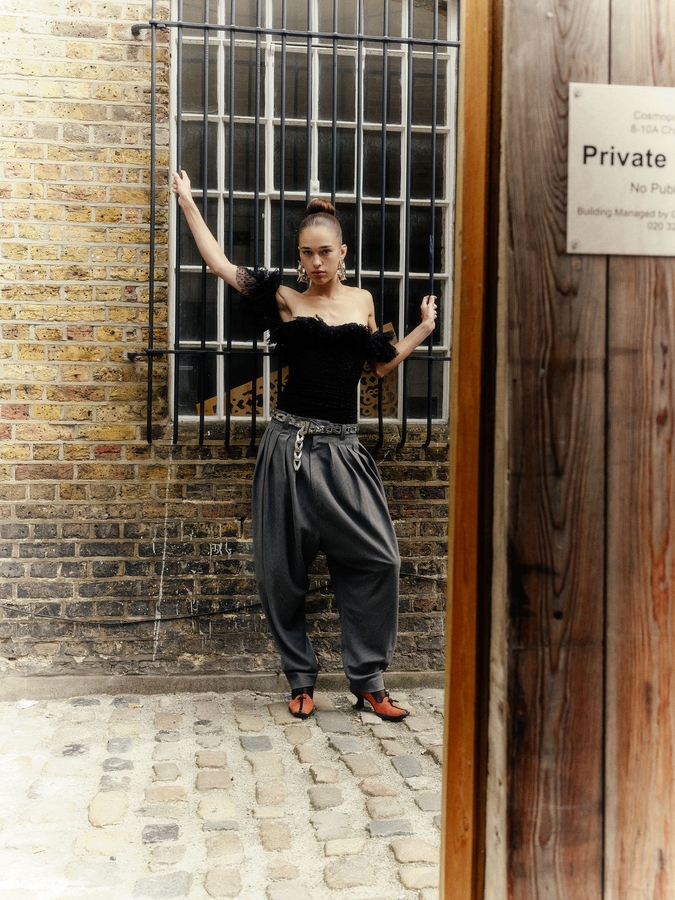 Model Image