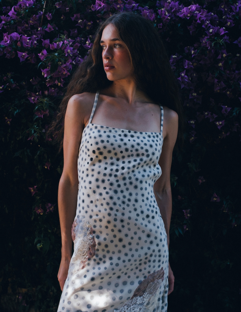 Model Image