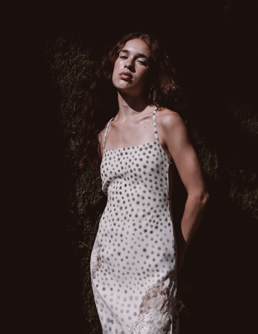 Model Image