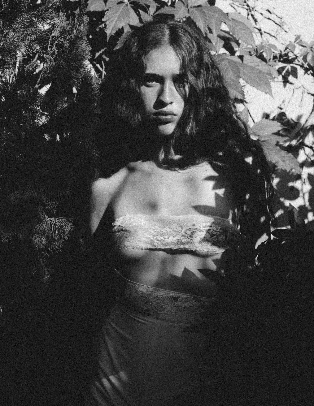 Model Image