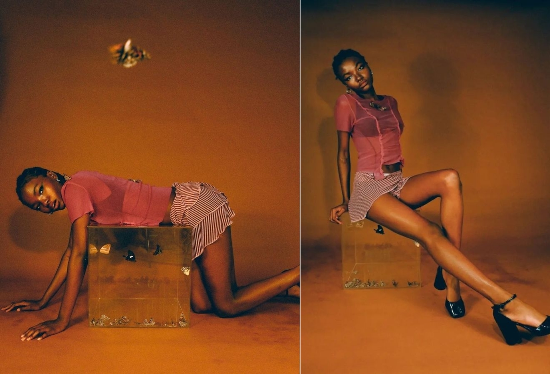 Model Image