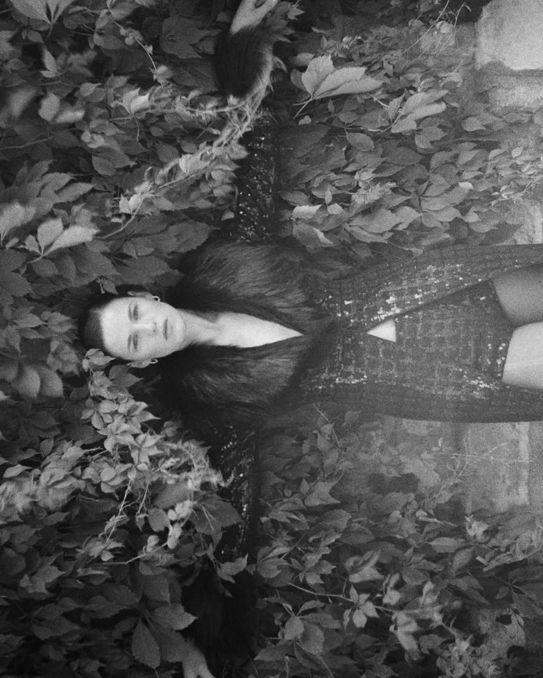 Model Image