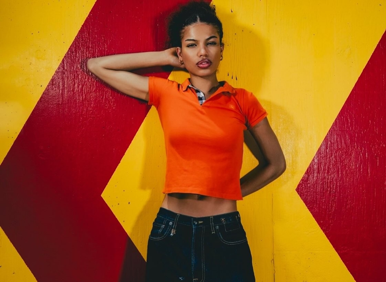 Model Image