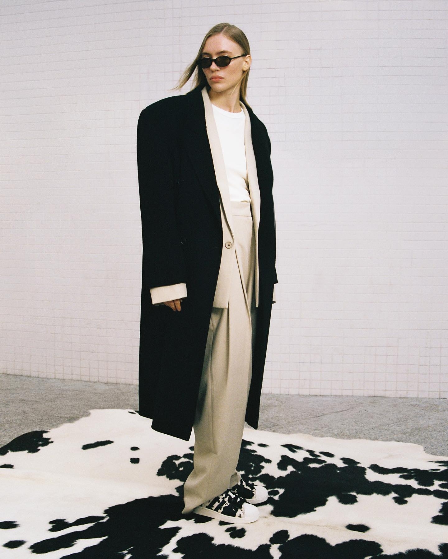 Model Image