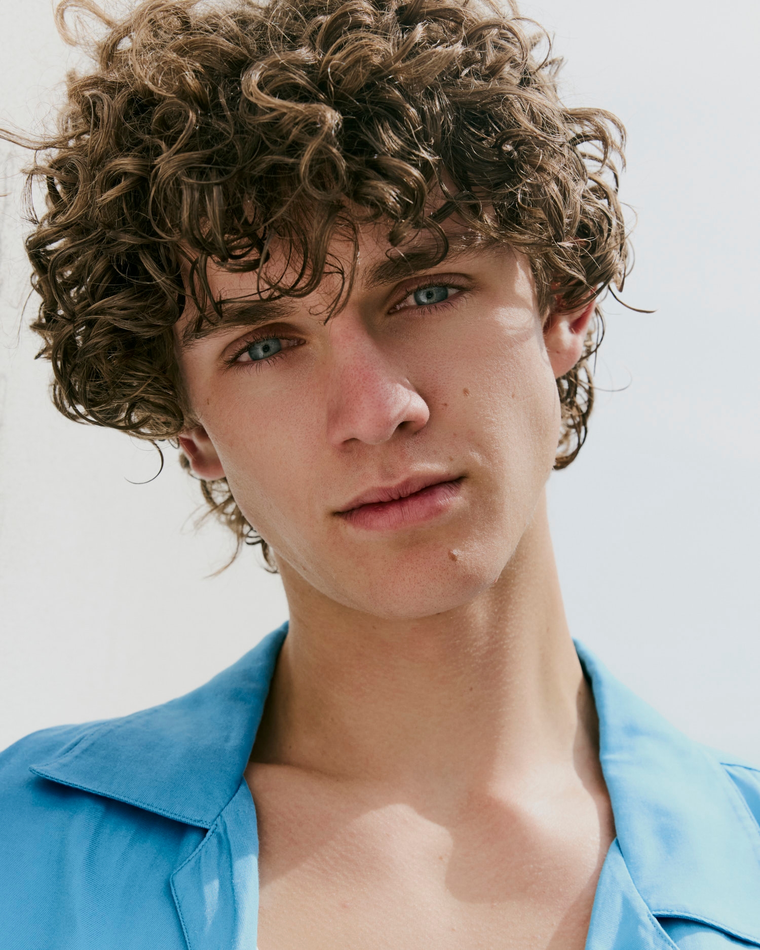 Model Image