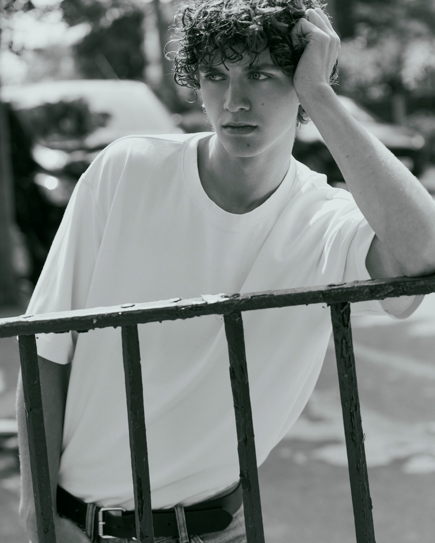 Model Image