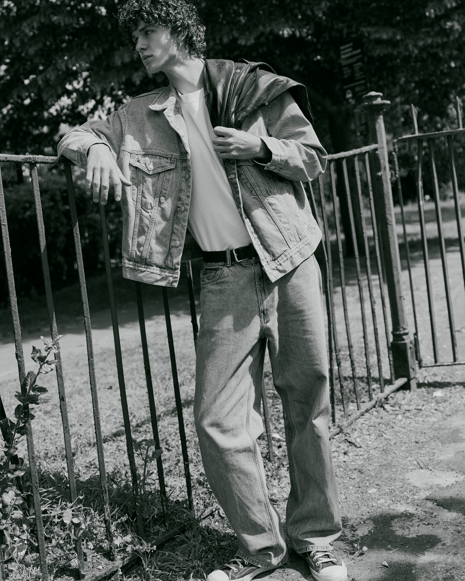 Model Image