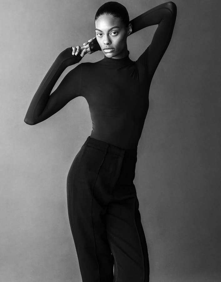 Model Image