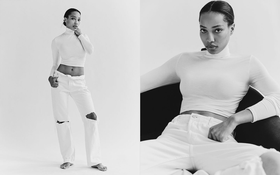Model Image